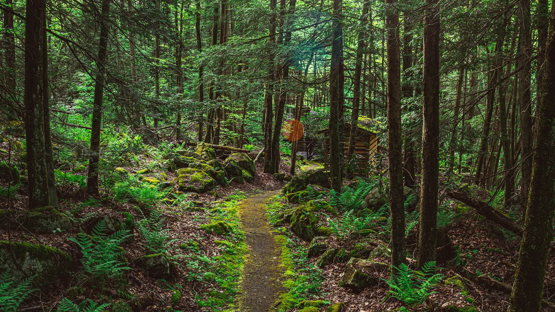 Photo d'illustration